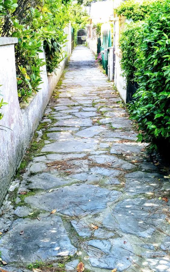 Casa Tonfoni Villa Torre del Lago Puccini Eksteriør bilde